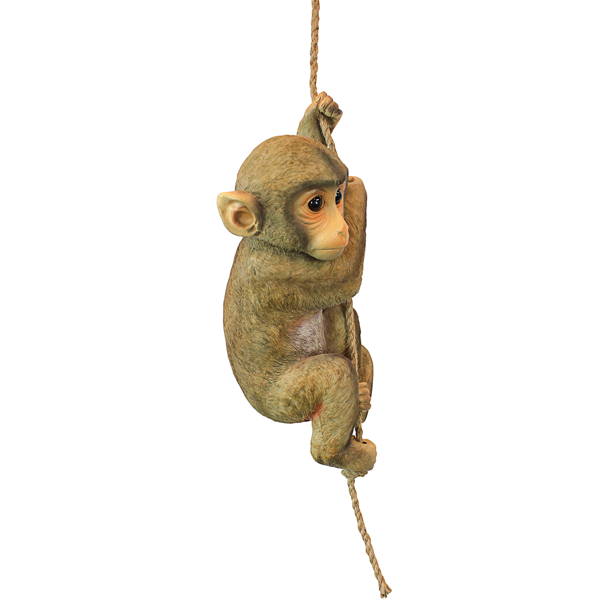 Image Thumbnail for Dt Chico The Chimpanzee Hanging Monkey